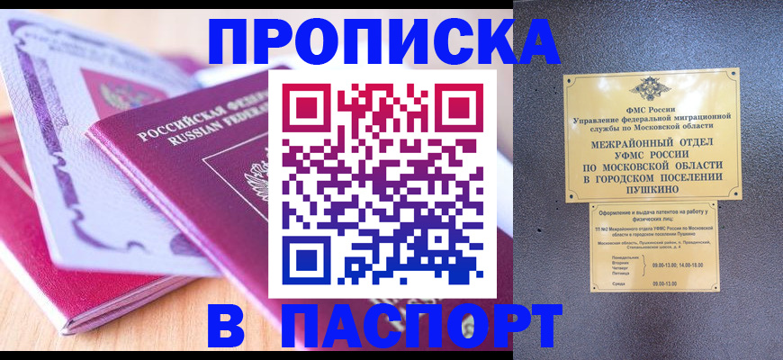 прописка законно в Волосово